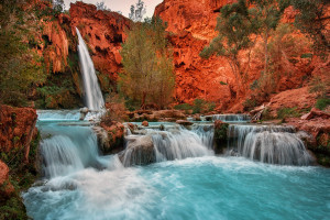 技术流还是力量型德甲球员风格大赏,比赛视频一览无余 技术流还是力量型德甲球员风格大赏,比赛视频一览无余